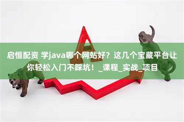 启恒配资 学java哪个网站好？这几个宝藏平台让你轻松入门不踩坑！_课程_实战_项目