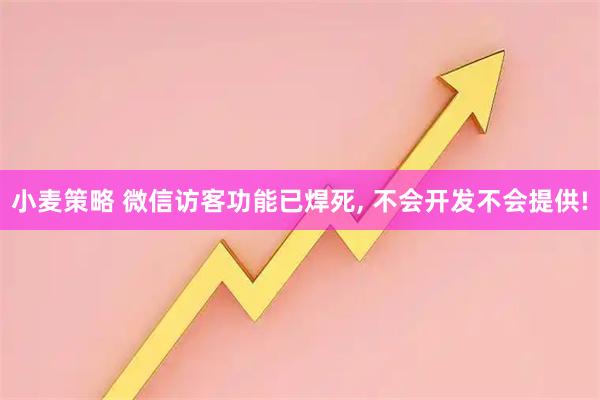 小麦策略 微信访客功能已焊死, 不会开发不会提供!